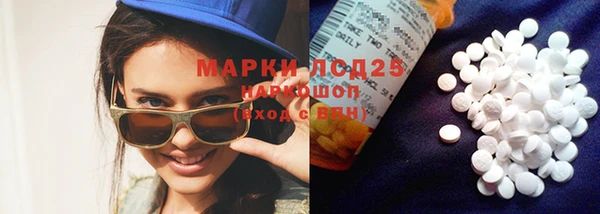 ГАЛЛЮЦИНОГЕННЫЕ ГРИБЫ Вязники