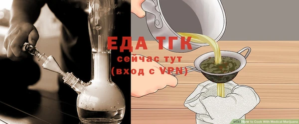 гидра Горняк