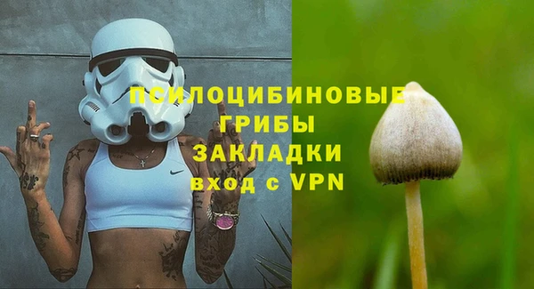наркотики Снежногорск